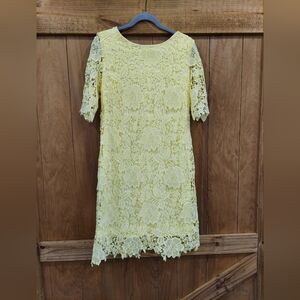 Sandra Darren Short Sleeve Lace Dress #71190  Yellow Size 10